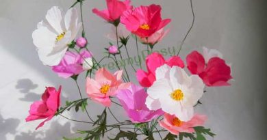 cosmos paper flower, best cosmos flower