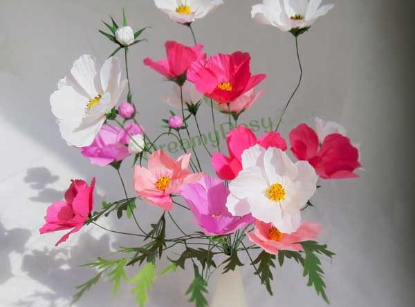 cosmos paper flower, best cosmos flower