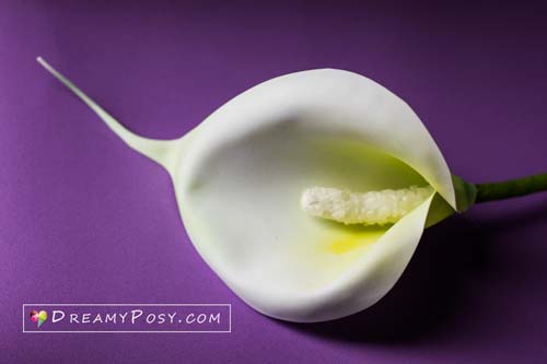 paper Calla Lily tutorial, free template