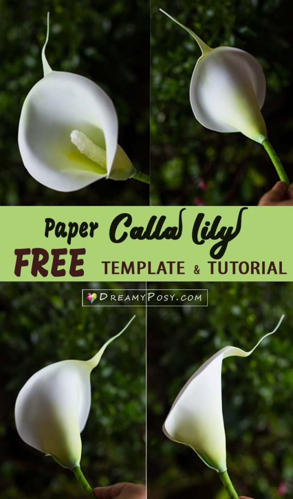 How To Make Paper Calla Lily Flower FREE Template