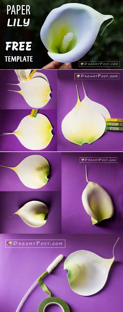 Paper calla lily free template and tutorial #paperflowers #flowertemplate #flowertutorial