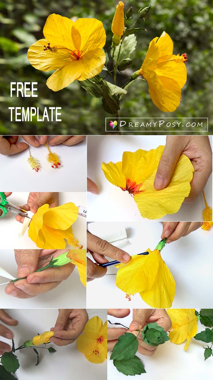 Hibiscus paper flower, paper flower template and tutorial, free template and tutorial