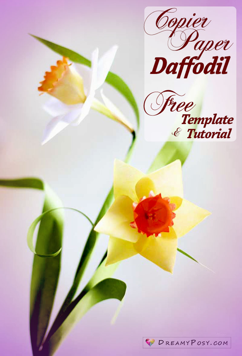 paper daffodil, paper flower, free tutorial, free template