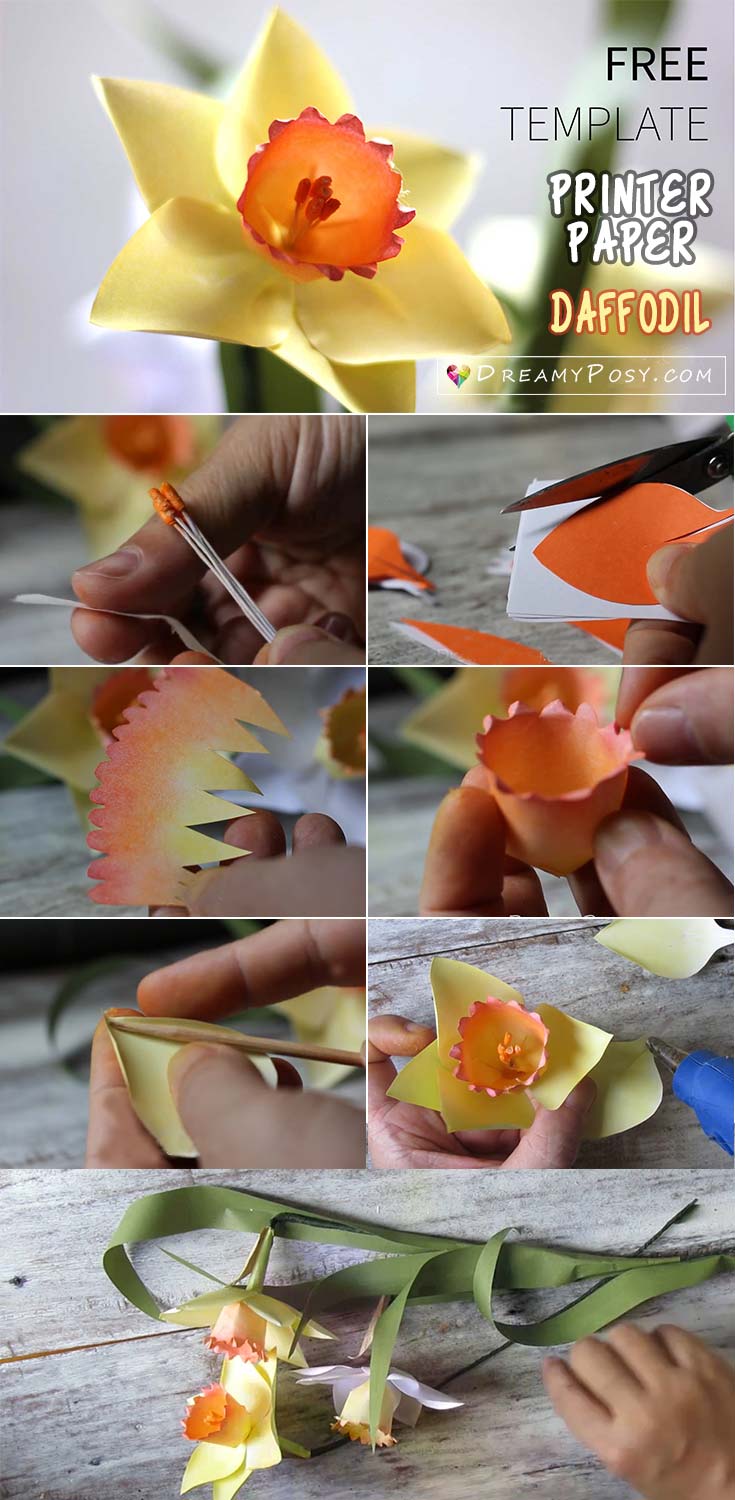 Paper Daffodil full tutorial with free template, paper flowers tutorial