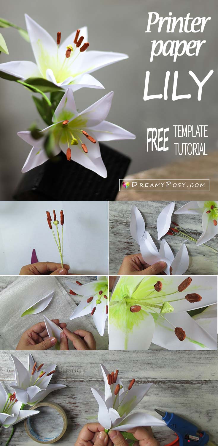 How to make paper Lily flower from printer paper, FREE template