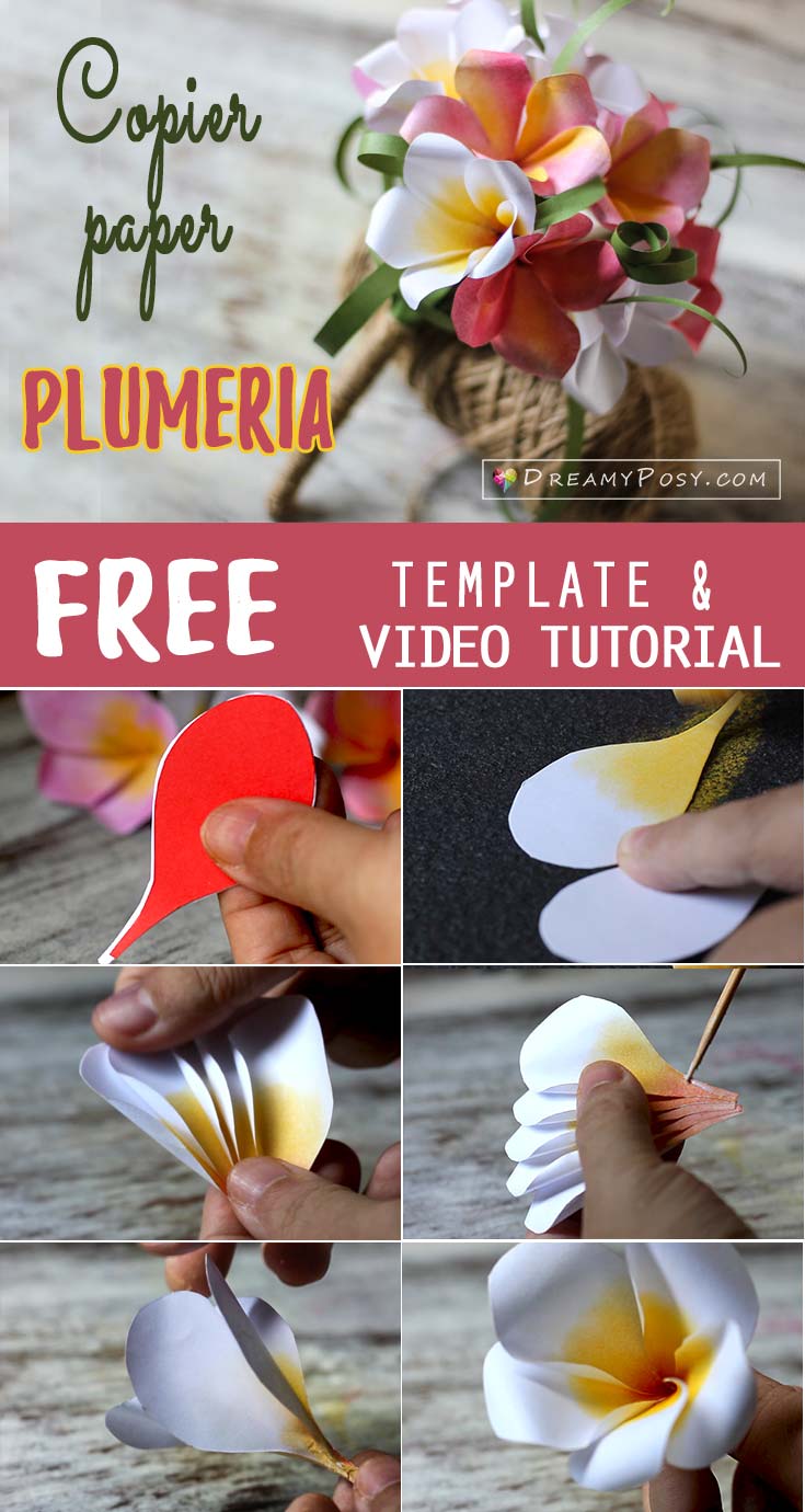 Plumeria paper flower, free template and tutorial