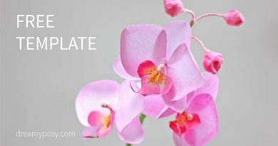 paper orchid, paper flower, free template