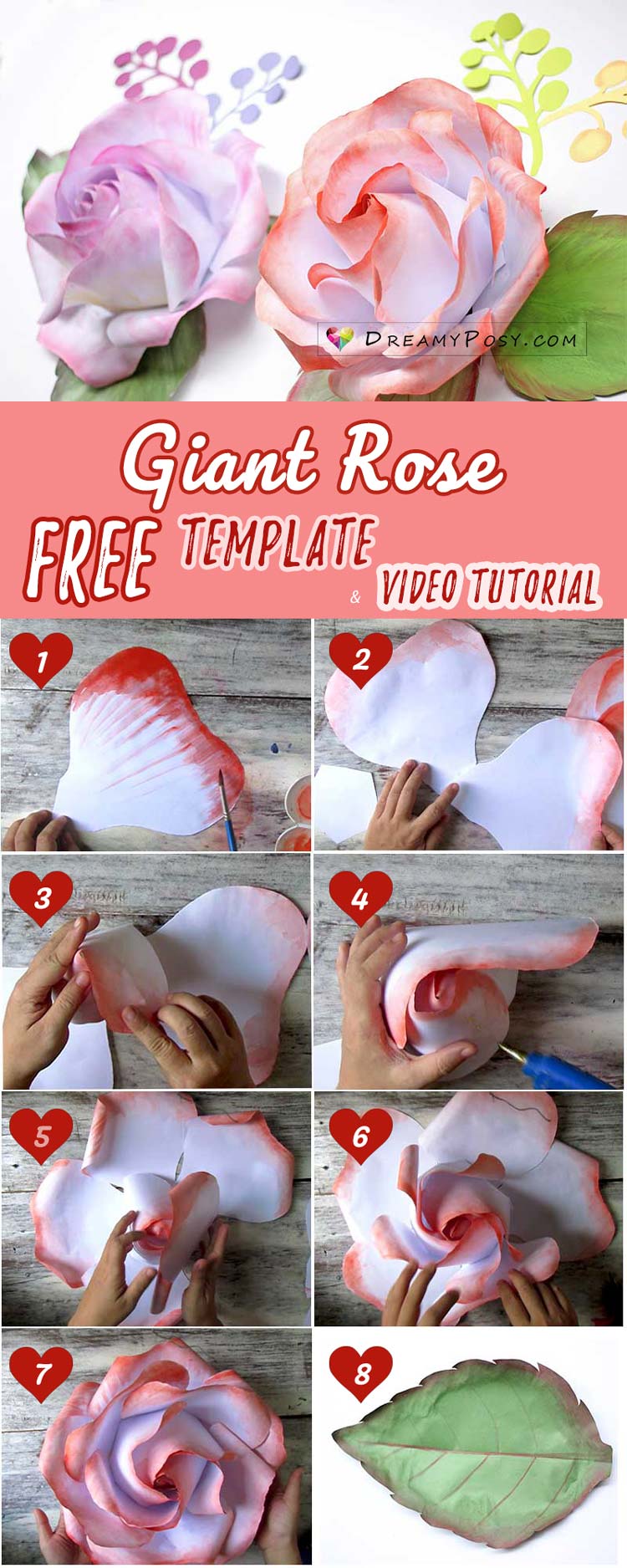 Free giant rose template and tutorial, paper flower, paper rose, #paperrose #paperflower