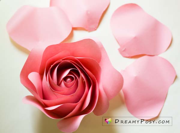 Giant rose free template and tutorial #paperflowers #flowertemplates #flowertutorials