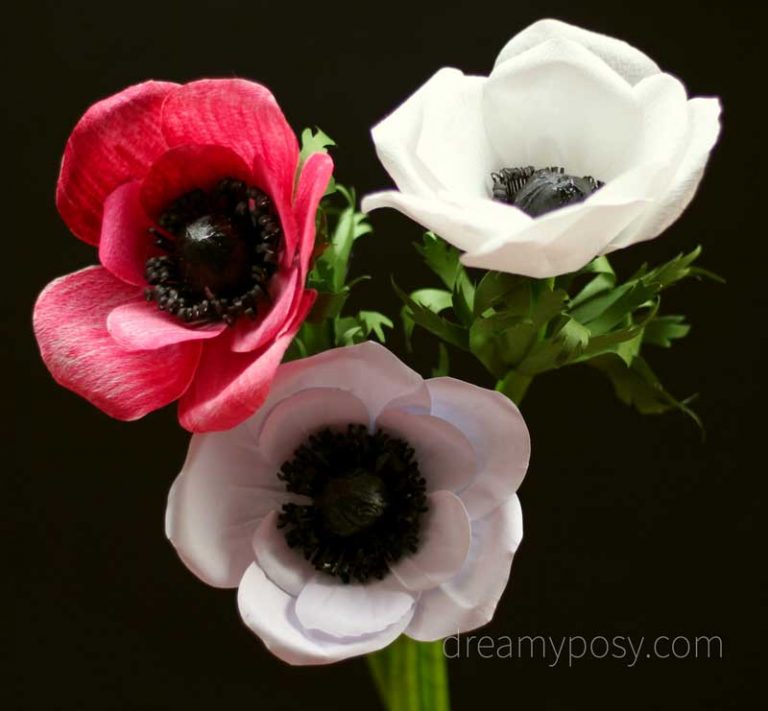 How to make Anemone paper flower from coffee filter, FREE template