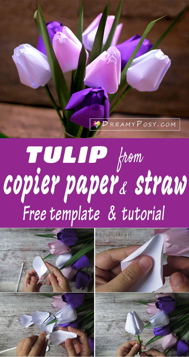 Free tulip paper flower template and tutorial, paper flowers tutorial, #papertulip #paperflowers #free template