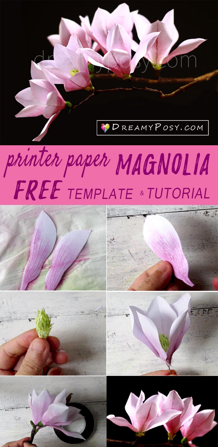 Paper Magnolia tutorial with free template, made from printer paper #paperflower #flowertutorial