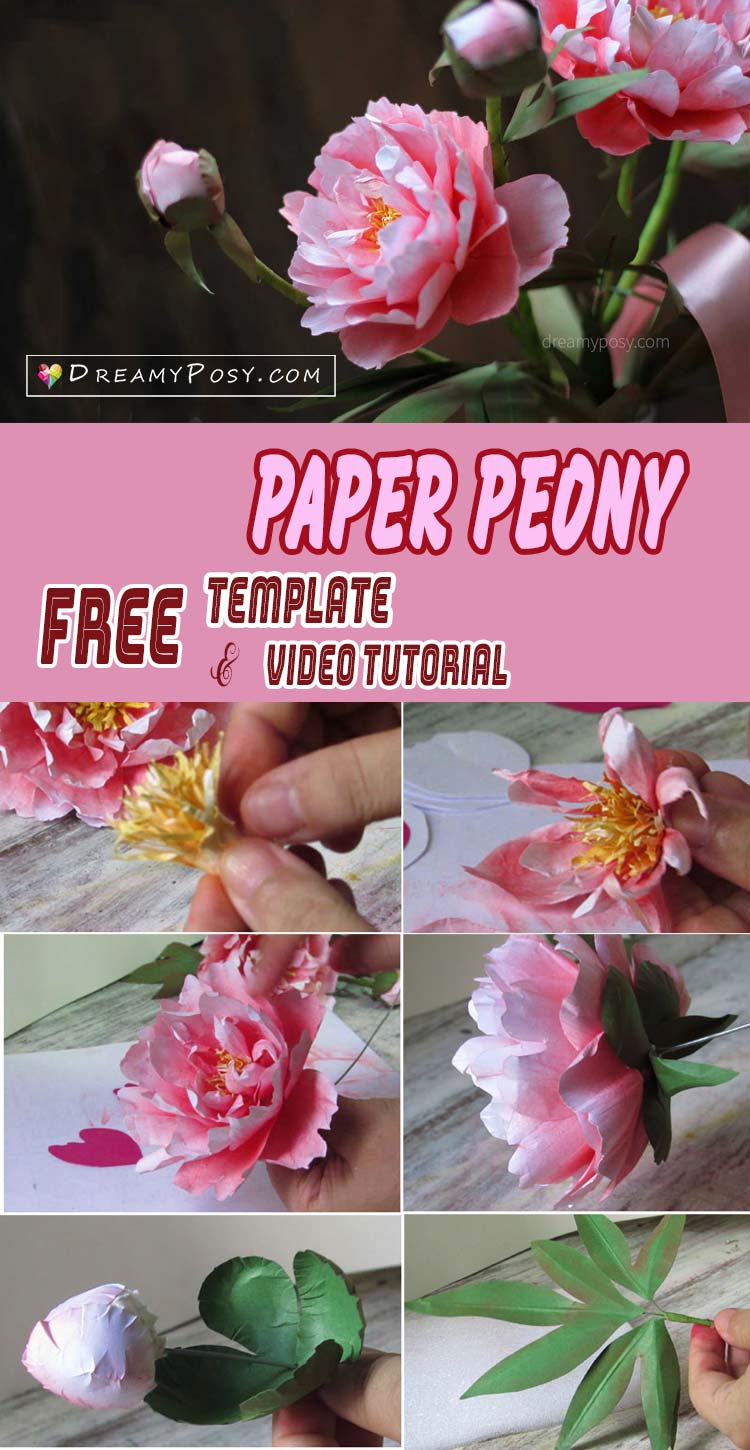 Free template and video tutorial to make paper peony flower, #paperflower #paperflower #flowertutorial #flowermaking