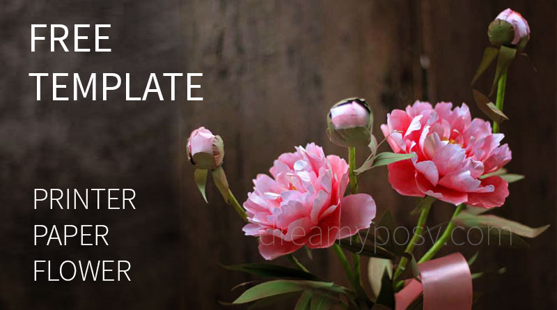 paper peony tutorial, free template, paper flower tutorial