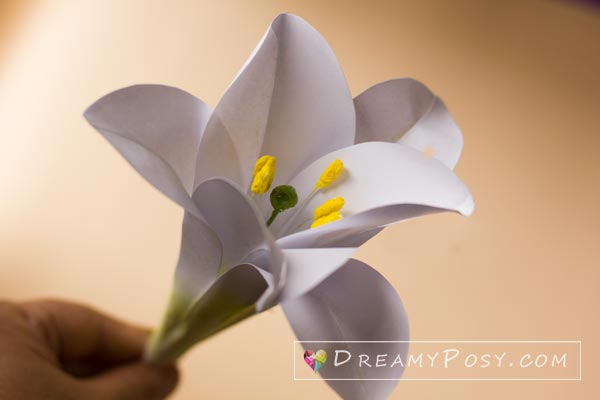 Paper Easter Lily tutorial with free template, made from printer paper #paperflower #flowertutorial