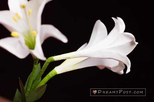 Paper Easter Lily tutorial with free template, made from printer paper #paperflower #flowertutorial