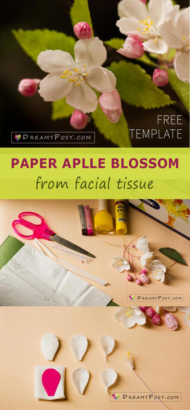 Paper apple blossom tutorial with free template, made from facial tissue #paperflower #flowertemplate #flowertutorial