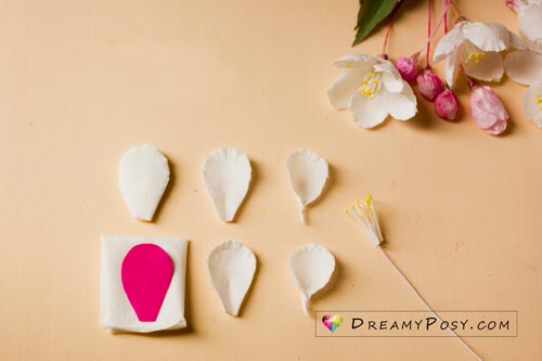 Paper apple blossom tutorial with free template, made from facial tissue #paperflower #flowertemplate #flowertutorial