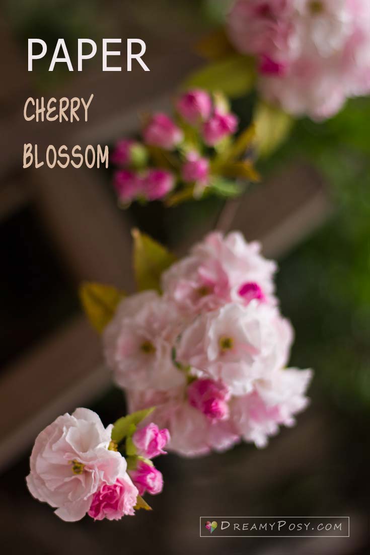 Paper cherry blossom from tissue paper