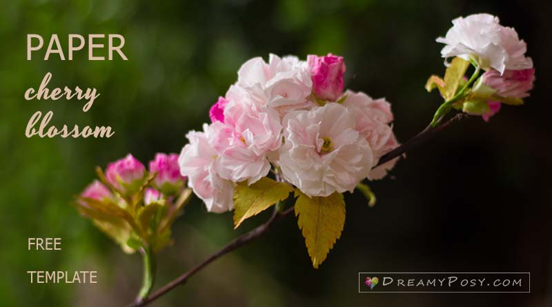 Paper cherry blossom free tutorial and template, #paperflower, #flowertutorial, #freepattern