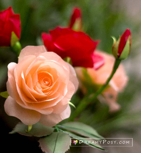 Tissue paper rose tutorial, with free template #paperflower #flowermaking #flowertemplate