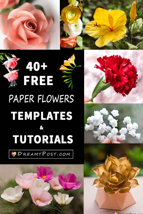 Paper flowers, free templates and step by step tutorials #paperflowers #flowertemplates #flowermaking #flowertutorials