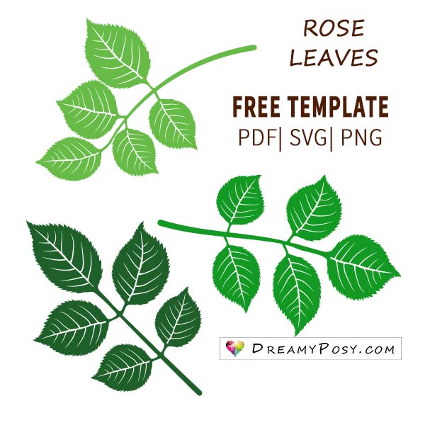 Easy Tutorial To Make A Paper Rose FREE Template