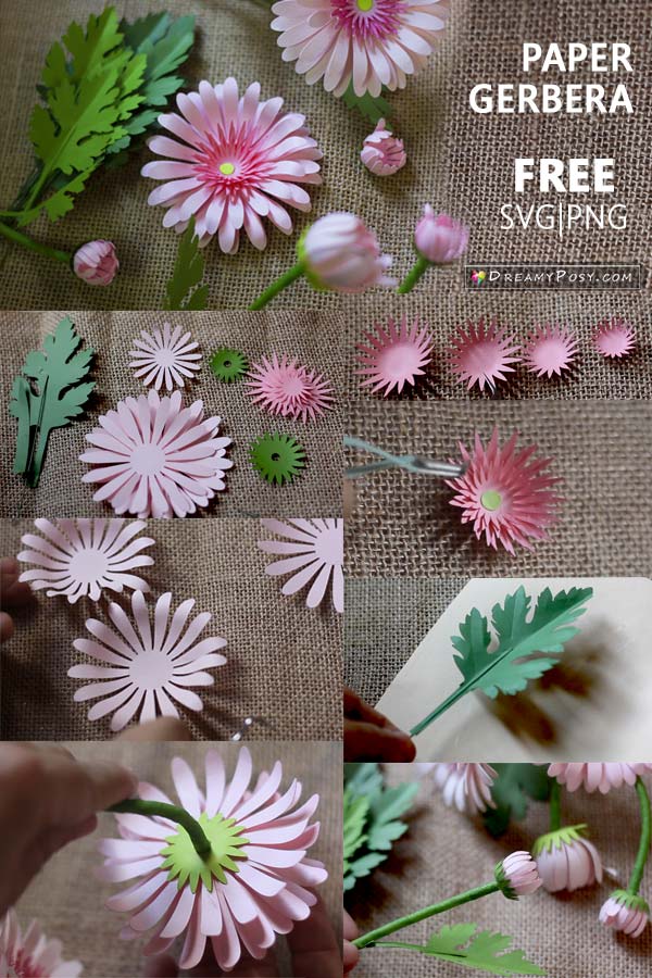 Paper flowers DIY, free template and tutorial