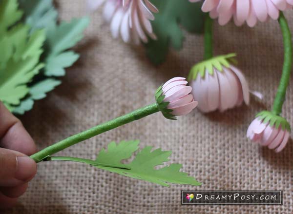 Paper flower diy, free template