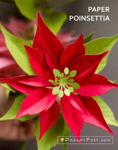 Paper Poinsettia template and step by step tutorial