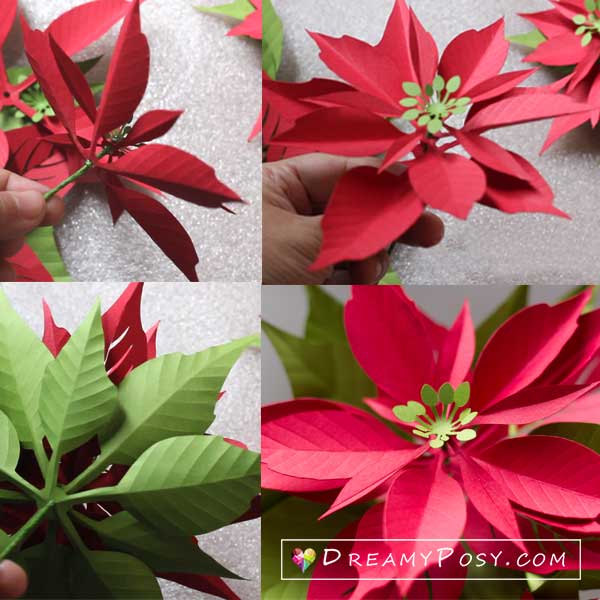 Paper poinsettia tutorial and template