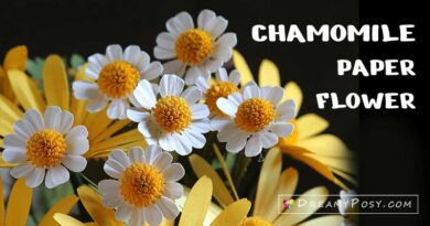 Chamomile paper flowers, Feverfew paper flowers