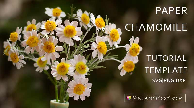 Paper Chamomile tutorial and template