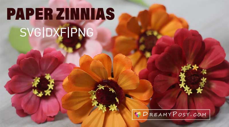 Free Free 168 Zinnia Flower Svg SVG PNG EPS DXF File