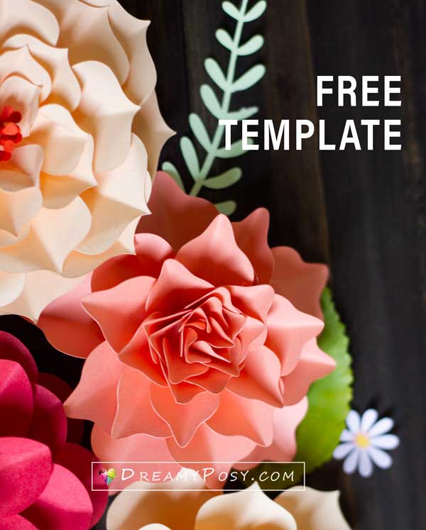 Wrapping Paper Flower Pattern Free Photo Download