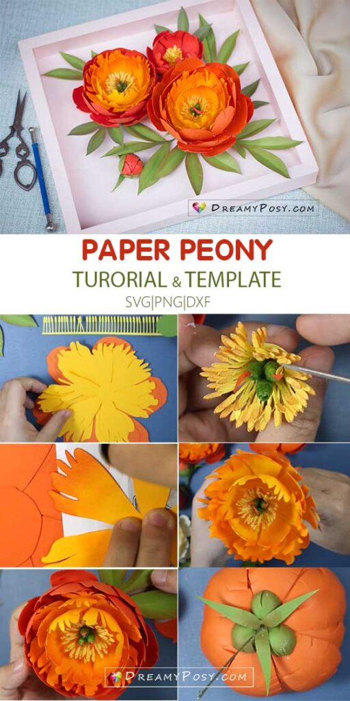 Coral charm peony paper flower tutorial step by step