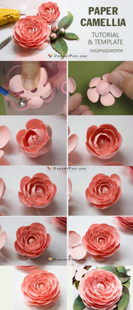 Camellia paper flower tutorial step by step, with template svg, pdf