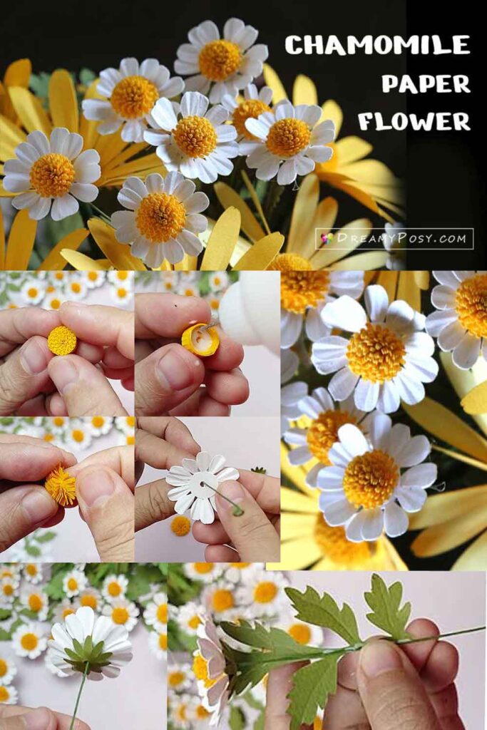 Paper Chamomile tutorial and template, paper daisy template, flower svg template