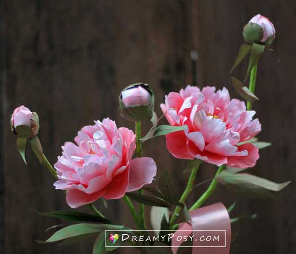 paper peony tutorial and free template